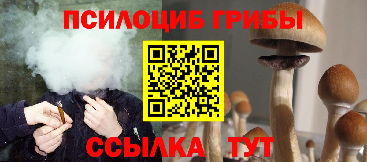 Псилоцибиновые грибы Psilocybine cubensis Бийск
