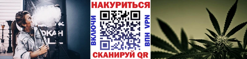 Бошки Шишки индика Бийск