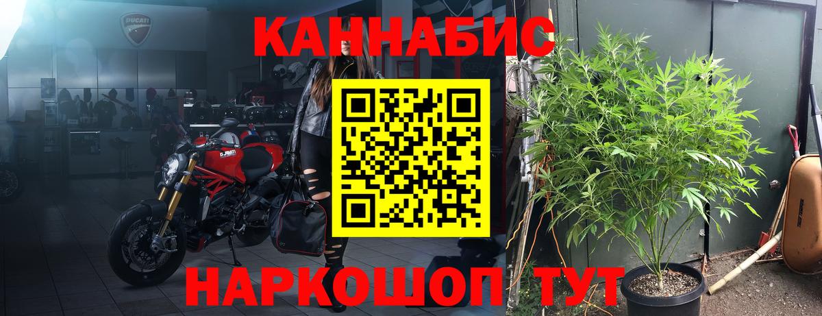 Каннабис ГИДРОПОН Бийск